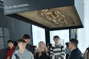 Cesta za vedou a umením